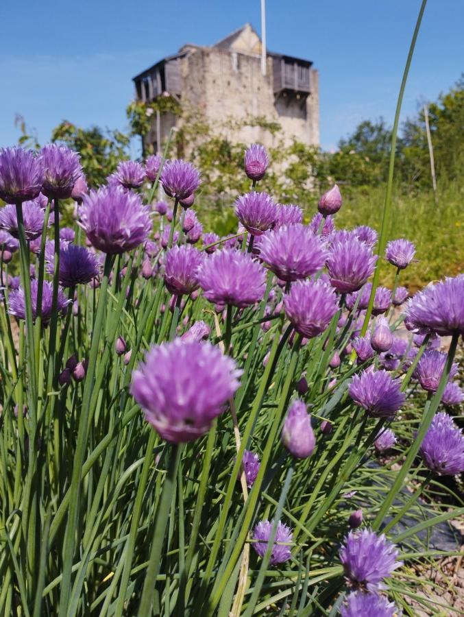 Domaine De La Ferte Clairbois Otel Sainte-Suzanne  Dış mekan fotoğraf