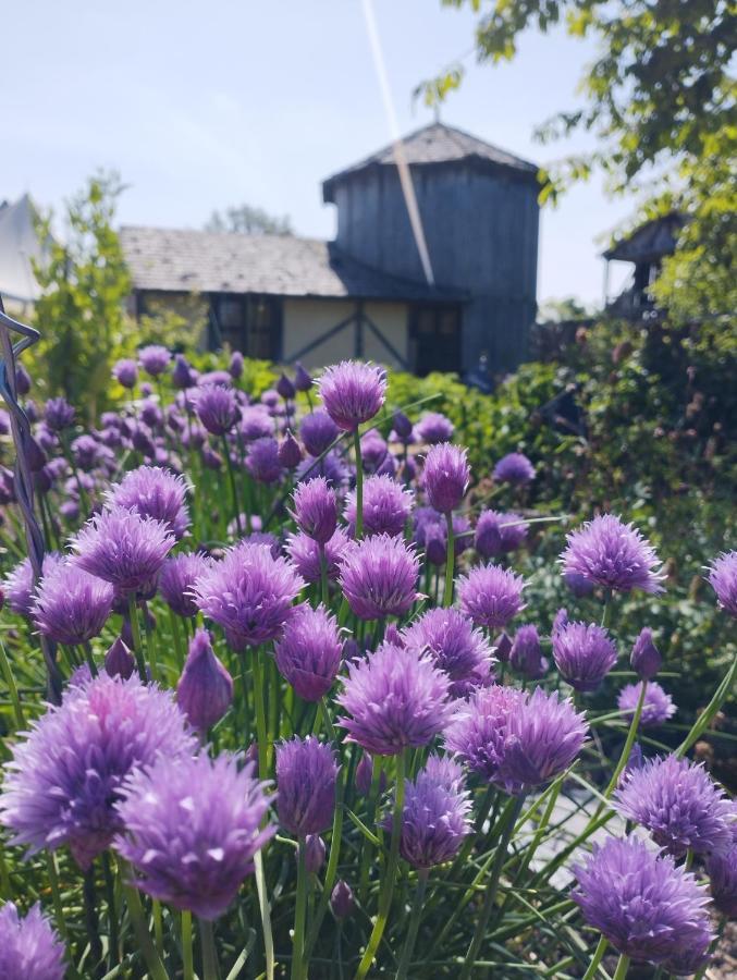 Domaine De La Ferte Clairbois Otel Sainte-Suzanne  Dış mekan fotoğraf
